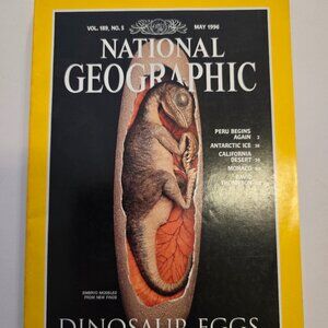 National Geographic Magazine May 1996 Dinosaur Eggs - Vintage Collectable